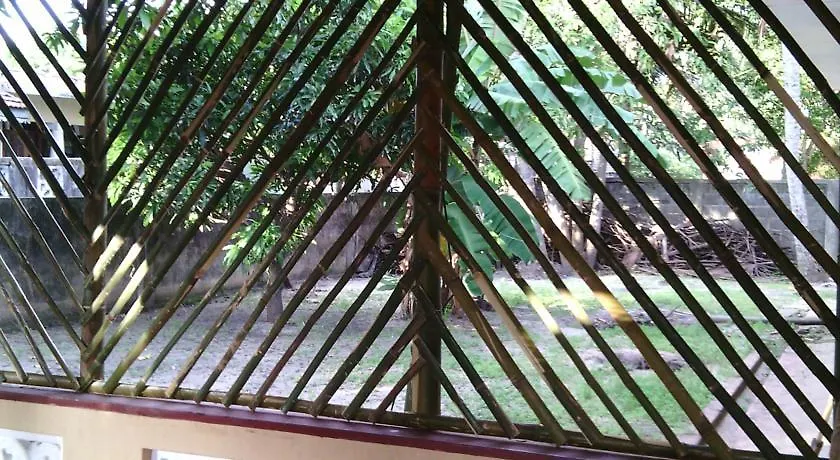 Guest house Yoho Mango House Hotel Negombo