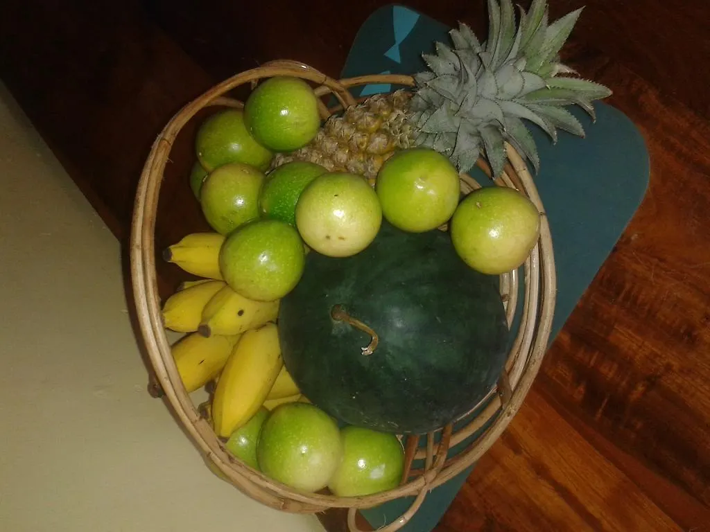 Yoho Mango House Hotel Negombo 3*,  Sri Lanka
